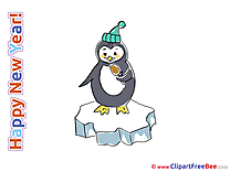 Penguin free Illustration New Year