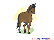 Animal Clipart Horse free Images