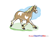 Cliparts Horse for free