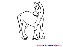 Coloring Horse Clip Art for free