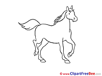 Coloring Horse Illustrations for free