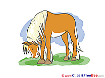 Download Horse Illustrations