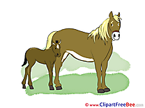 Foal download Clipart Horse Cliparts