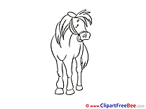 Free Illustration Horse