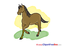 Grass free Illustration Horse