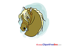 Head Clip Art download Horse