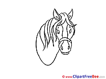 Head Horse download Illustration