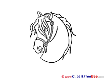 Head printable Illustrations Horse