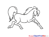 Horse Coloring Illustrations for free