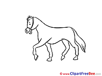 Horse free Images download