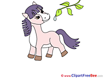Little Pony Horse free Images download