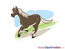 Nature Pics Horse Illustration