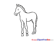 Printable Coloring Horse Images