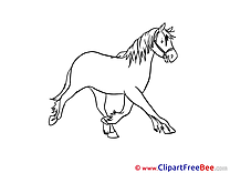 Stallion printable Illustrations Horse