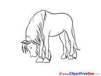 Tired Pics Horse Illustration