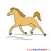 Trot Horse Illustrations for free