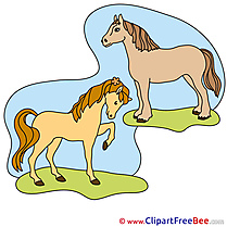 Two Horses Cliparts  for free