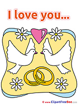 Chamomiles Pigeons Rings I Love You Illustrations for free