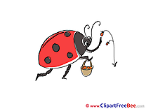 Berries Ladybug Clipart free Image download