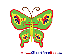 Butterfly Images download free Cliparts