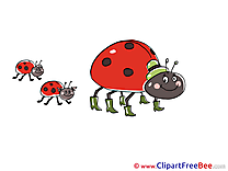 Family Ladybugs Clipart free Illustrations