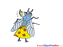 Fly free Illustration download