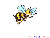 Flying Bee free Cliparts for download