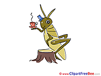 Grasshopper Tea free printable Cliparts and Images