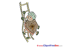 Ladder Bug download printable Illustrations