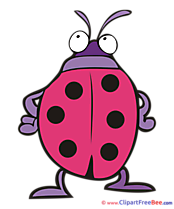 Ladybug Pics free download Image