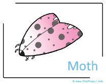Moth Clipart Image free - Insects Clipart Images free