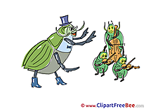 Bugs Orchestra Pics Kindergarten free Image