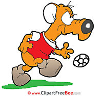 Footballer Rat Pics free Illustration