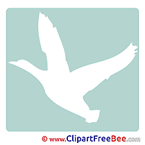 Bird Clipart Pictogrammes Illustrations