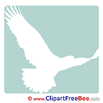 Eagle Bird Pictogrammes Illustrations for free