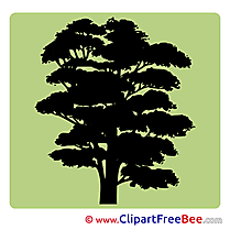 Tree Pics Pictogrammes Illustration