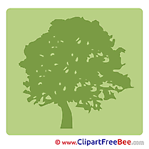 Tree Pictogrammes free Images download