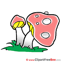 Amanita Mishrooms Images download free Cliparts