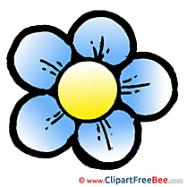 Chamomile Clipart free Illustrations