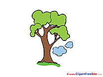 Clouds Tree Clipart free Illustrations