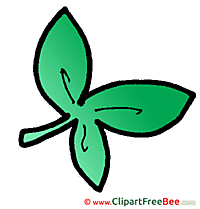 Clover Leaf printable Images for download