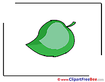 Leaf free Illustration download