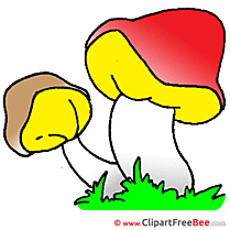 Mushrooms printable Illustrations for free