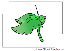 Palm Leaves download Clip Art for free