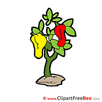 Peppers Plant Clip Art download for free