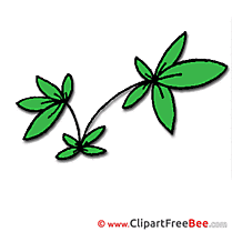 Picture Leaves free printable Cliparts and Images