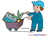 Cart Tranportation Pics free Illustration