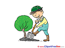 Gardener Tree Clip Art download for free