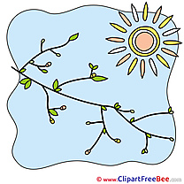 Branch Sky Sun Clipart free Illustrations