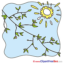 Branch Sun Sky Clipart free Image download